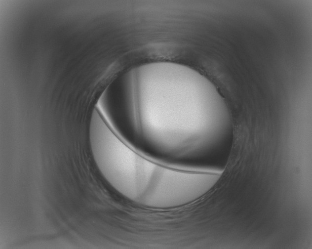 X0000081420027200701120956