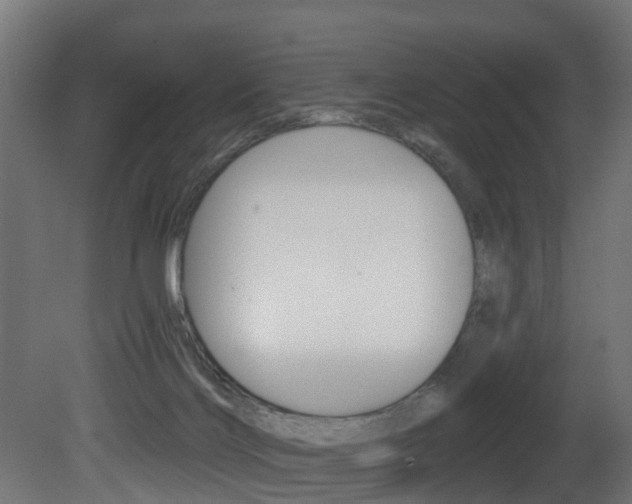 X0000081420028200701120956