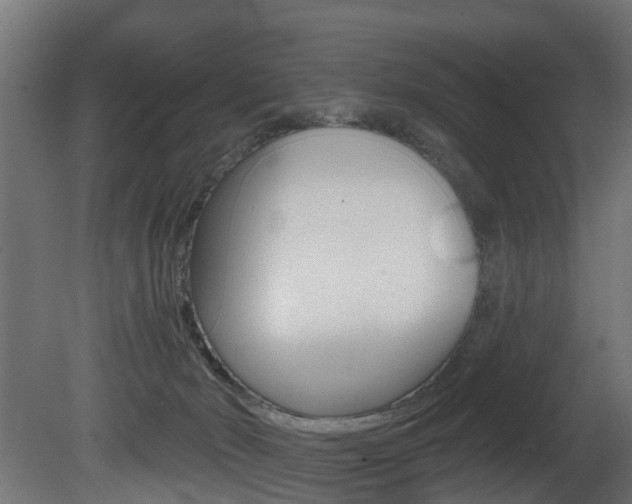 X0000081420030200701120956