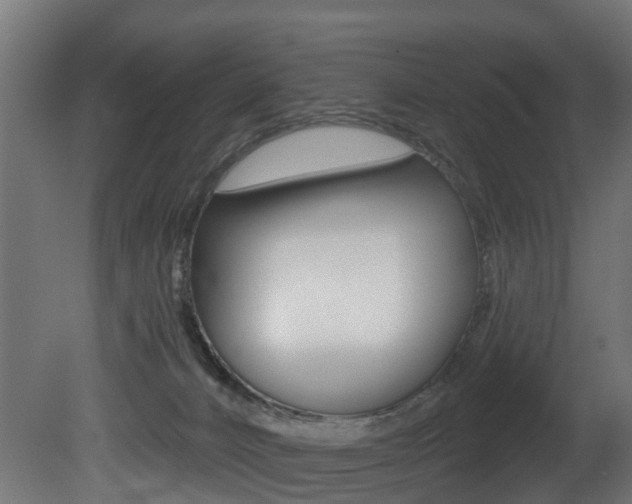 X0000081420032200701120956