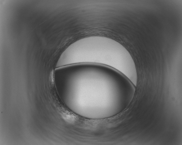 X0000081420041200701120956