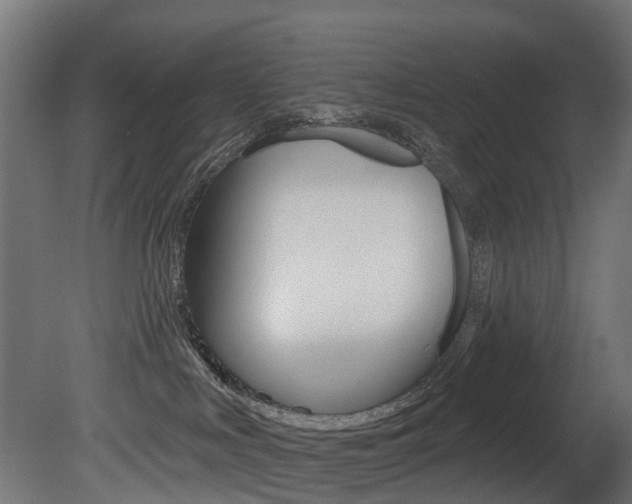 X0000081420043200701120956