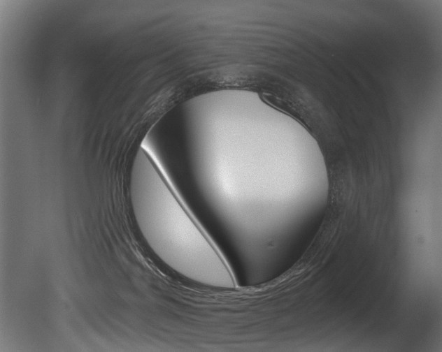 X0000081420044200701120956