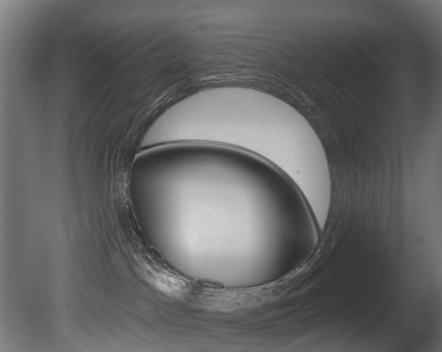 X0000081420045200701120956