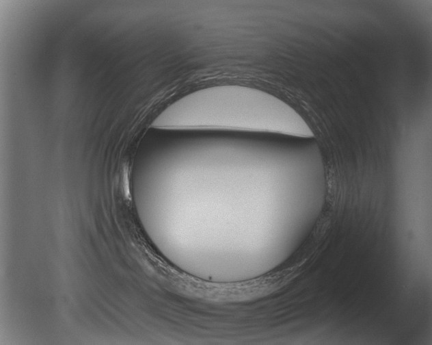 X0000081420046200701120956
