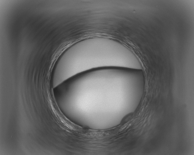 X0000081420049200701120955