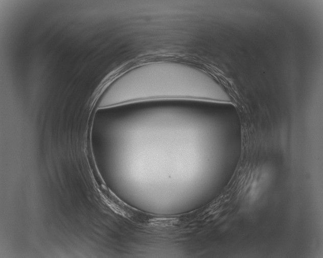 X0000081420051200701120955
