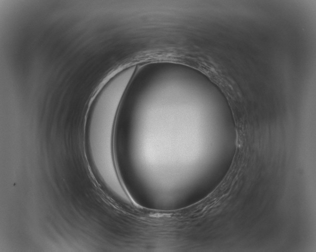 X0000081420052200701120955