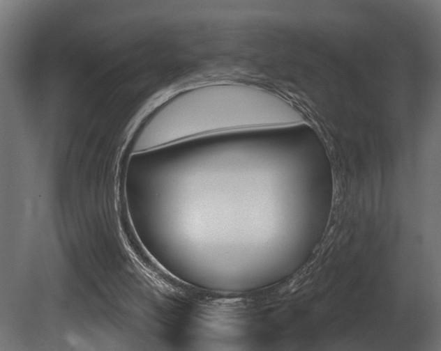 X0000081420054200701120955