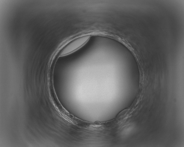 X0000081420055200701120955