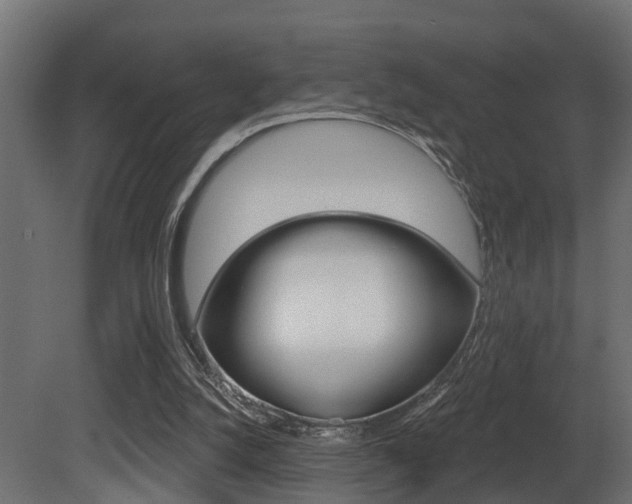 X0000081420056200701120955