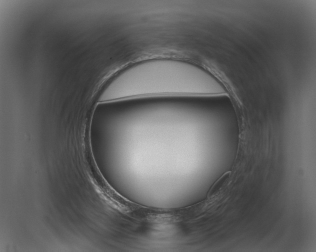 X0000081420058200701120955