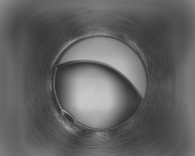 X0000081420060200701120955