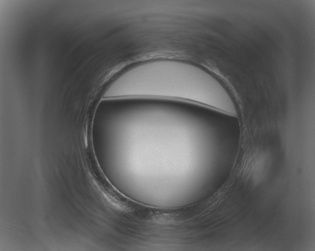 X0000081420062200701120955