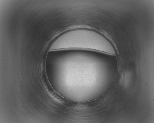 X0000081420063200701120955