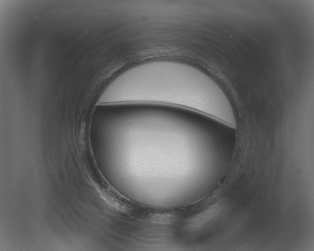 X0000081420066200701120955