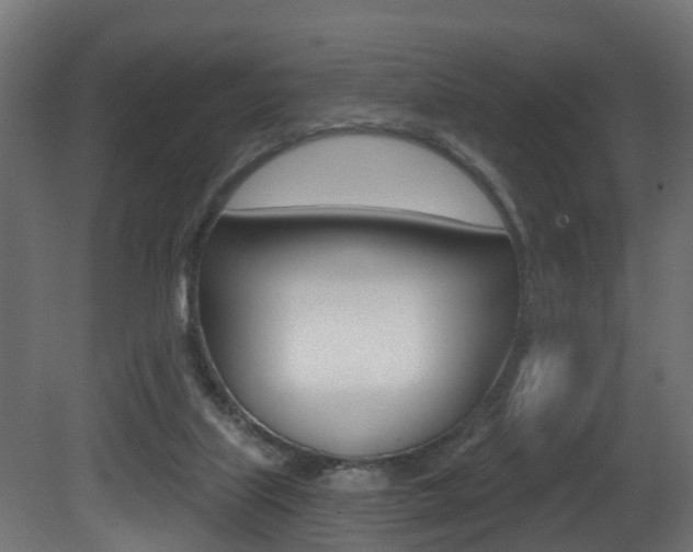 X0000081420067200701120955