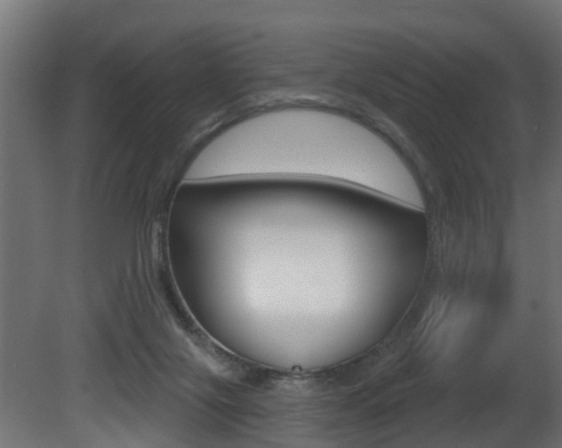 X0000081420071200701120955
