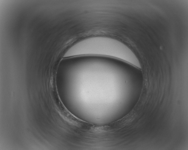 X0000081420072200701120955