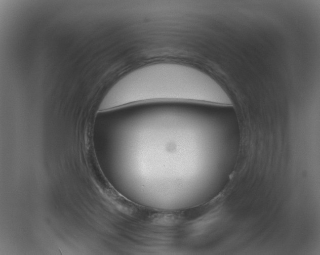 X0000081420074200701120955