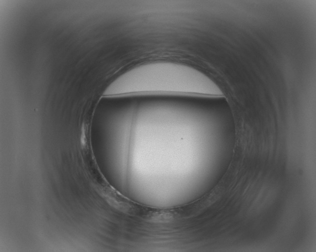 X0000081420075200701120955