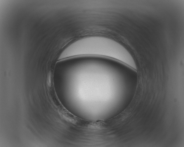 X0000081420076200701120955