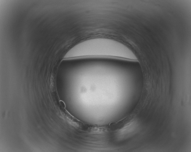 X0000081420077200701120955