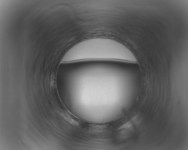 X0000081420081200701120956