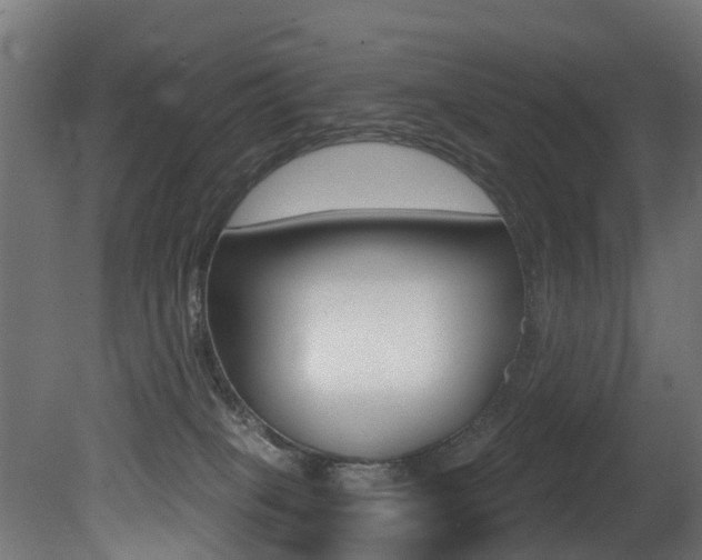 X0000081420085200701120956
