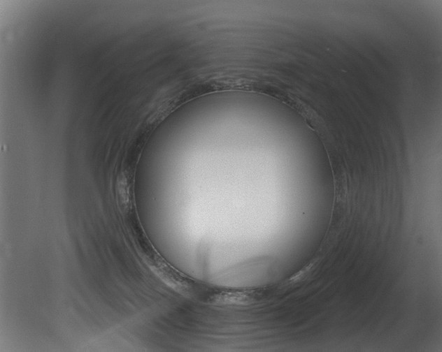 X0000081420086200701120956