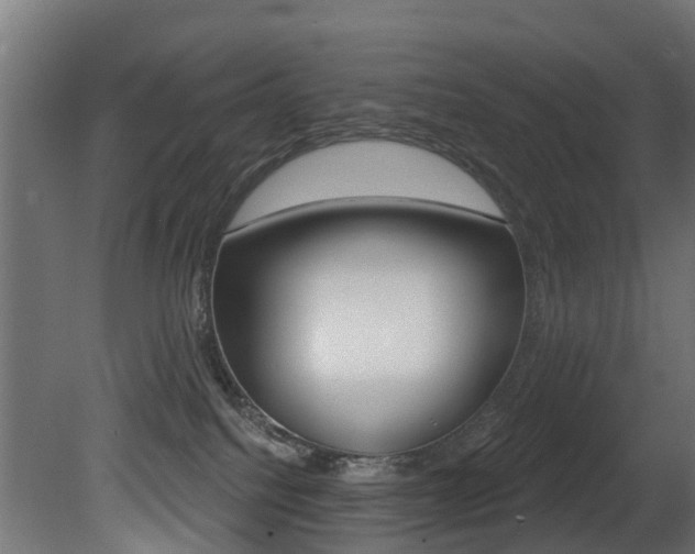 X0000081420088200701120956