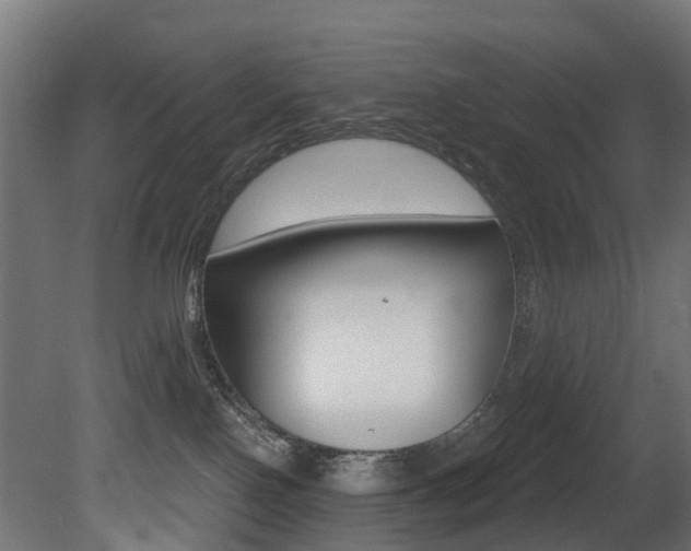 X0000081420090200701120956