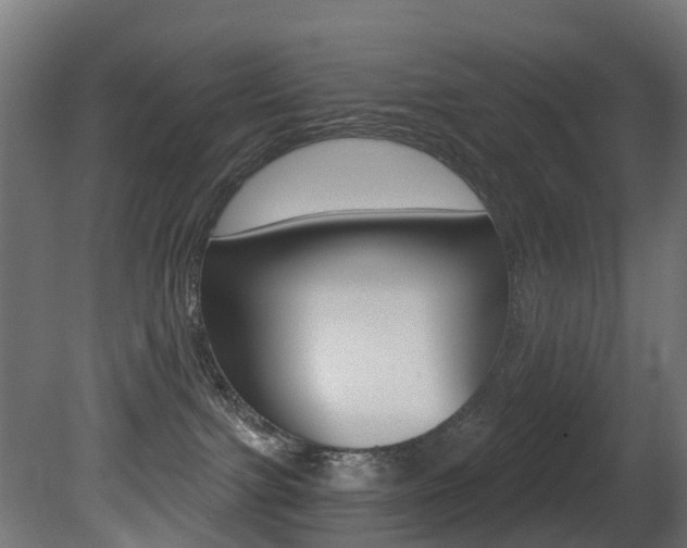X0000081420091200701120956