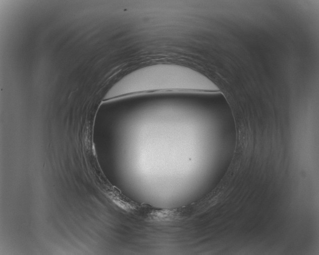 X0000081420092200701120956