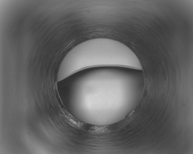 X0000081420093200701120956