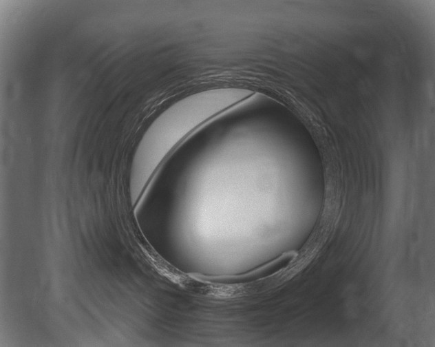 X0000081420096200701120956