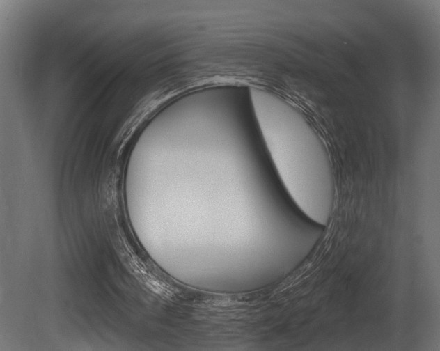 X0000081420098200701120955