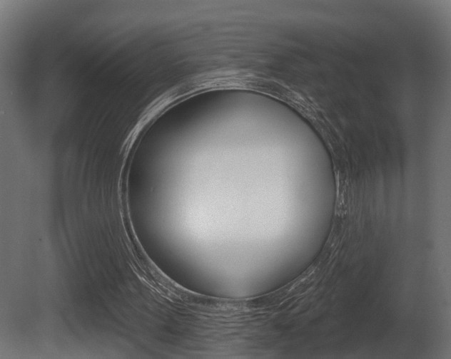 X0000081420099200701120955