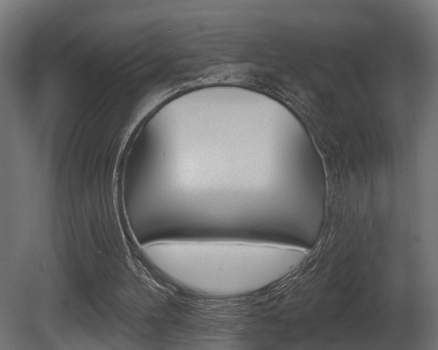 X0000081420100200701120955