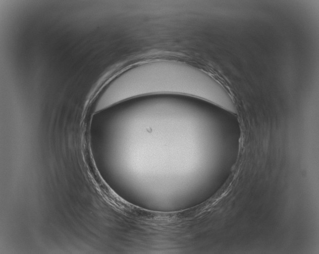 X0000081420101200701120955