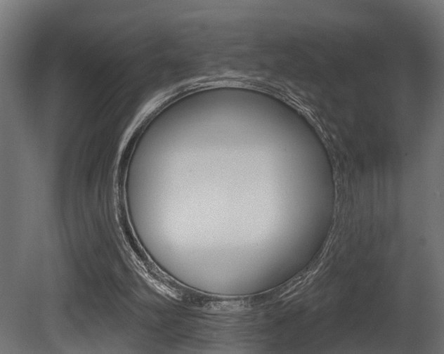 X0000081420102200701120955
