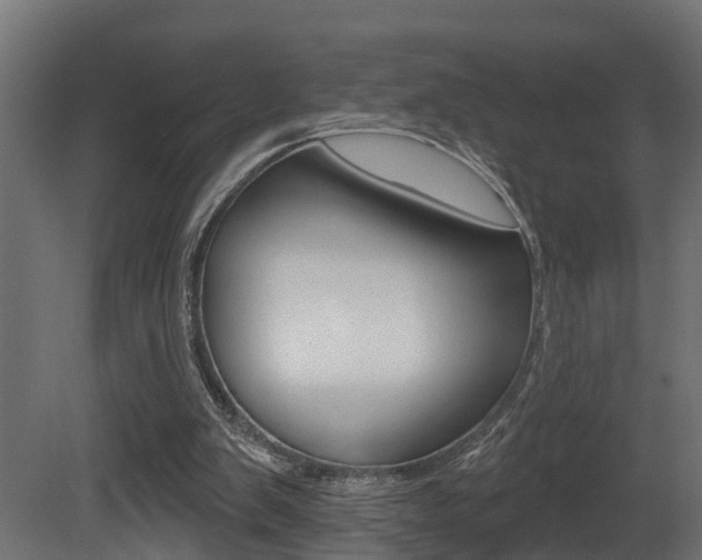 X0000081420103200701120955
