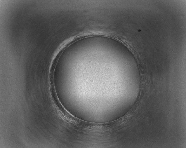 X0000081420104200701120955