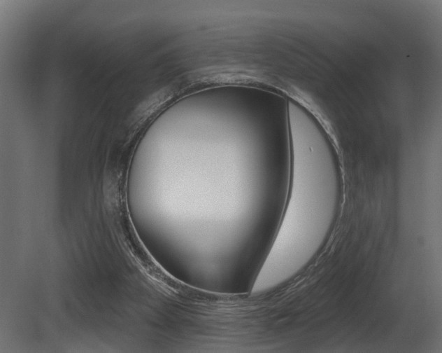 X0000081420105200701120955