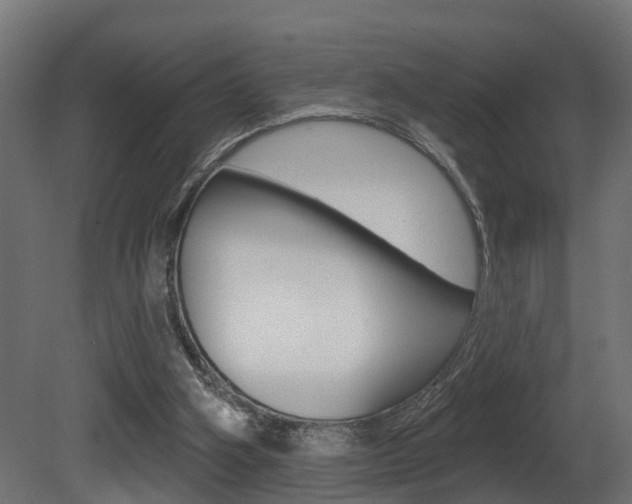 X0000081420106200701120955