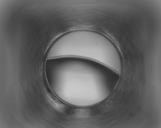 X0000081420107200701120955