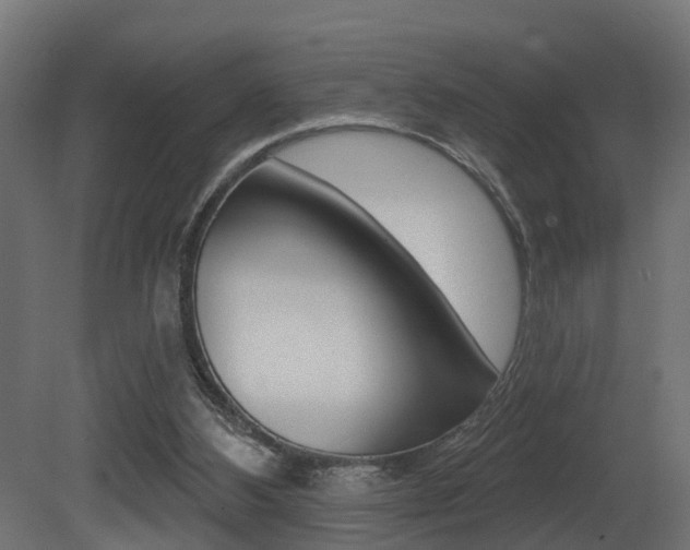 X0000081420108200701120955