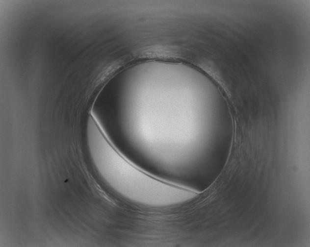 X0000081420109200701120955