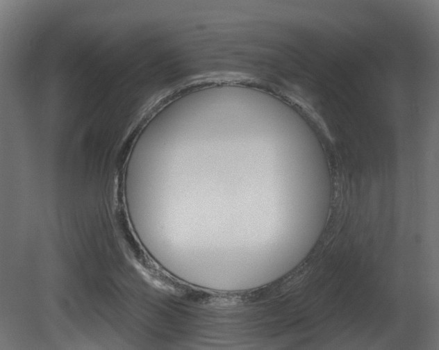 X0000081420110200701120955