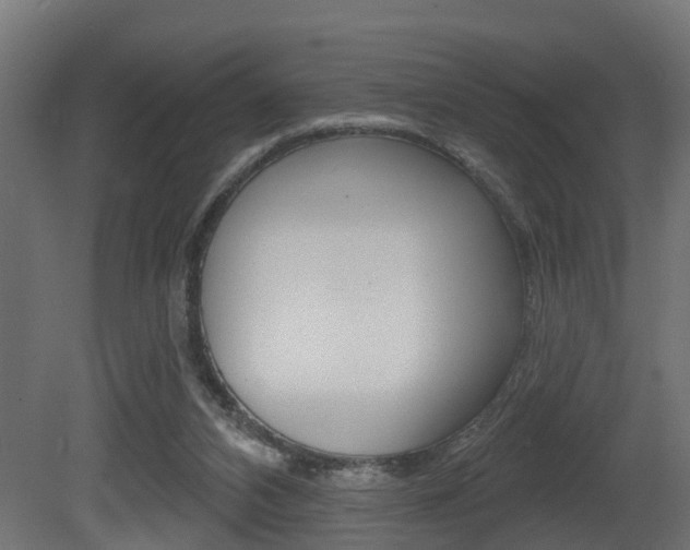 X0000081420112200701120955